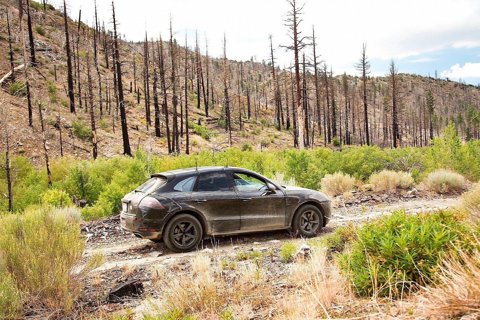 PORSCHE-Macan-5035-1080p-8.jpg